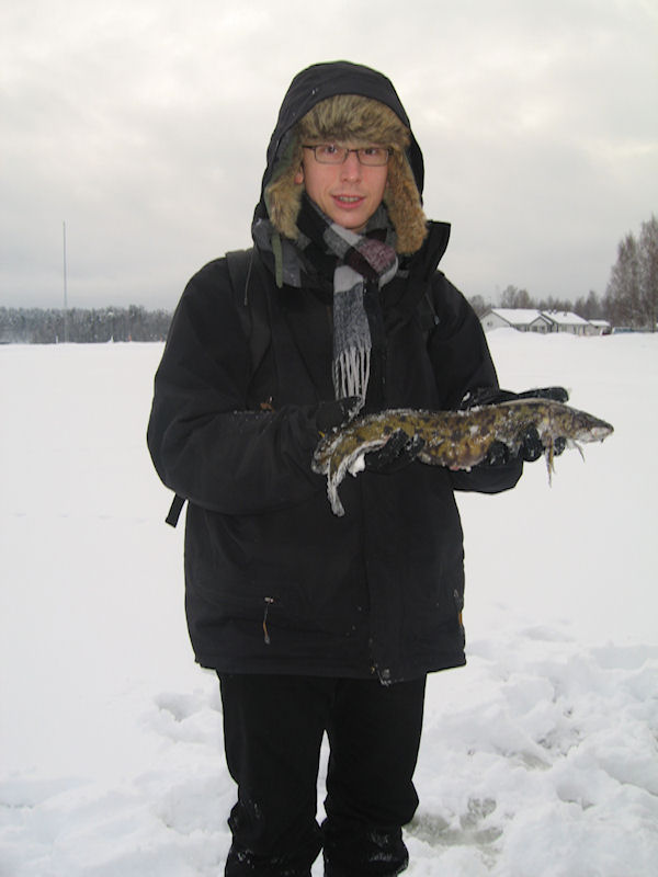 The burbot